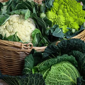 an image of fress cabbages and cauliflower in a basket